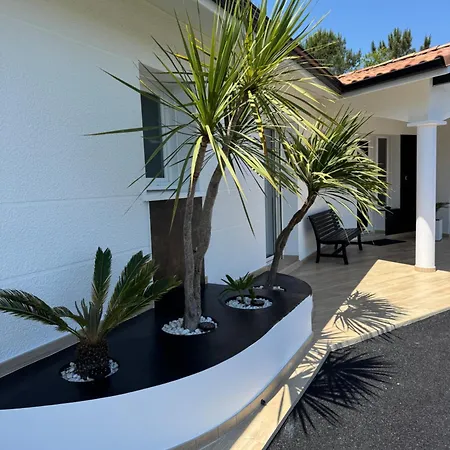 Villa Sany:10 Pers Maison 200m2 Piscine , Jacuzzi